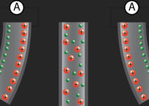 Flexo-ionic effect in ionic liquid crystal elastomers