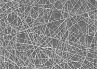 Responsive liquid crystal / polymer fibers