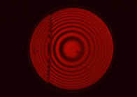 Liquid crystal spherical caps in fields