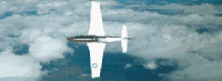 p5105_ss.gif - 18527 Bytes