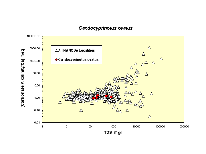 CandocypovatusGraph