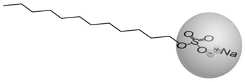 polarmolecule