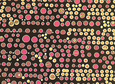 isotropic-cholesteric transition