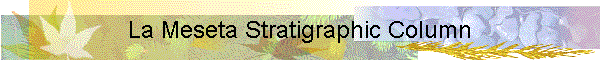 La Meseta Stratigraphic Column