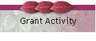 Grant Activity