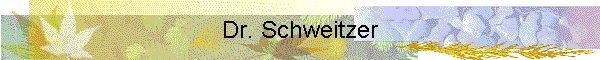 Dr. Schweitzer