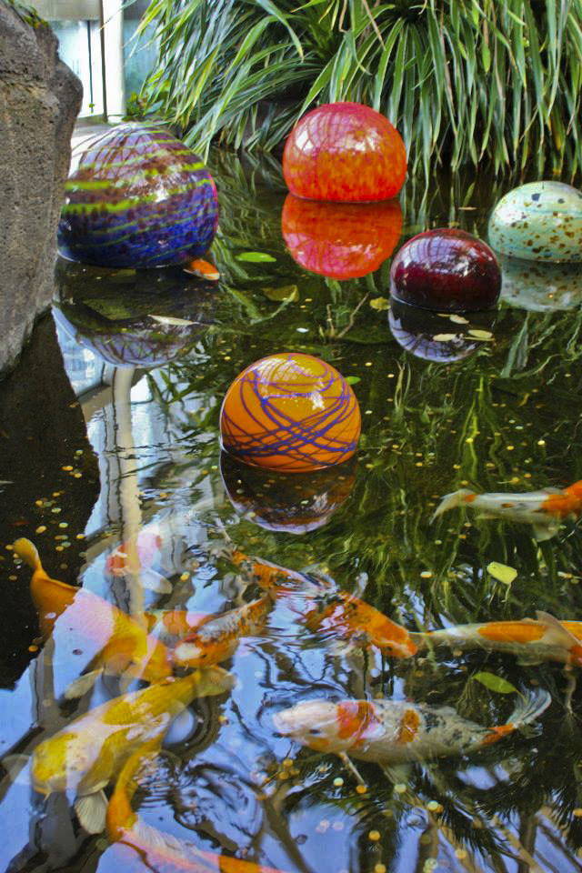 Carp and Chihuly, Franklin Park Conservatory, Columbus, Ohio