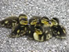 Ducklings, Dublin, Ohio