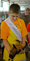 Rabbit, Ohio State Fair, Columbus, Ohio