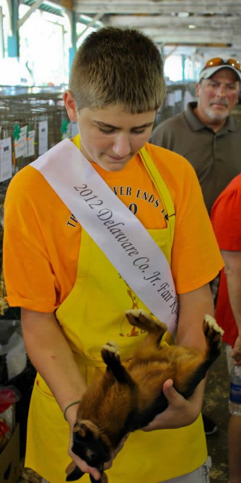 Rabbit, Ohio State Fair, Columbus, Ohio