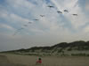 Pelicans in Flight, Corolla, North Carolina