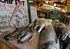 Pike Place Fish Market, Seattle, Washington