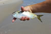 Fishing, Corolla, North Carolina