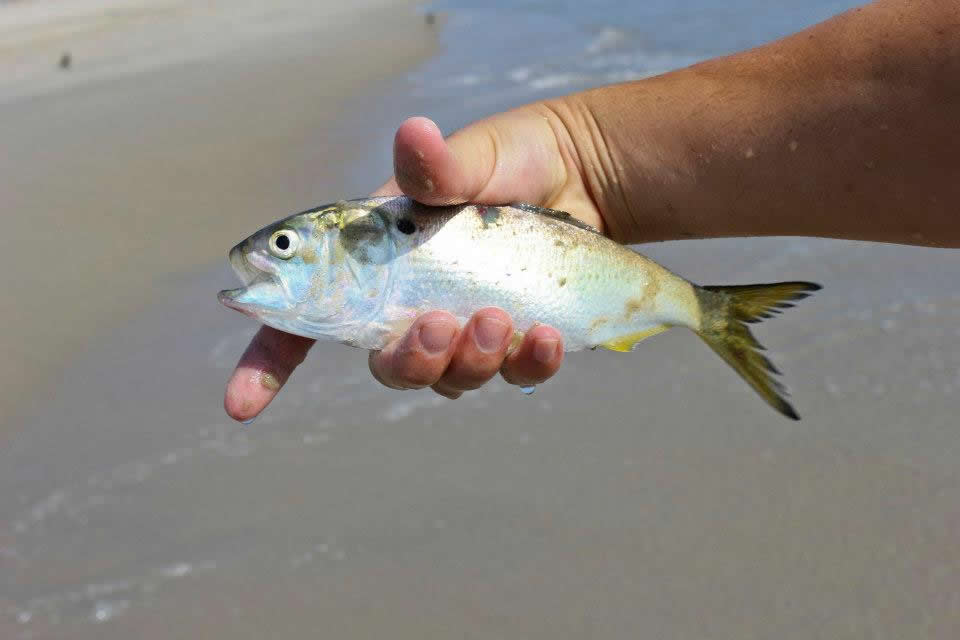 Fishing, Corolla, North Carolina