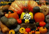 Cucurbitae, Circleville, Ohio Pumpkin Festival