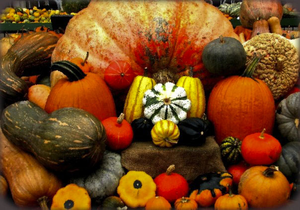 Cucurbitae, Circleville, Ohio Pumpkin Festival