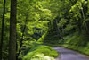 Great Smokey Mountains, Gatlinburg, Tennessee