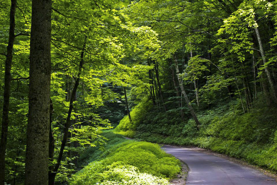 Great Smokey Mountains, Gatlinburg, Tennessee