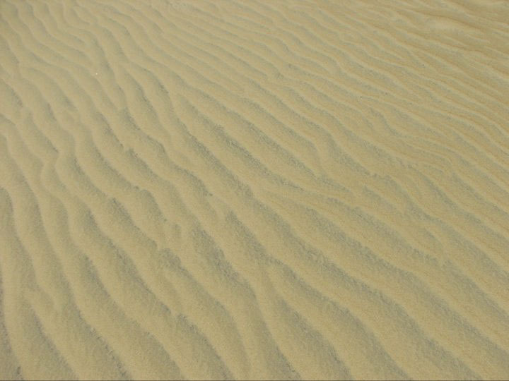 Jockey's Ridge State Park, North Carolina