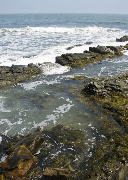 Cliff Walk, Newport, Rhode Island