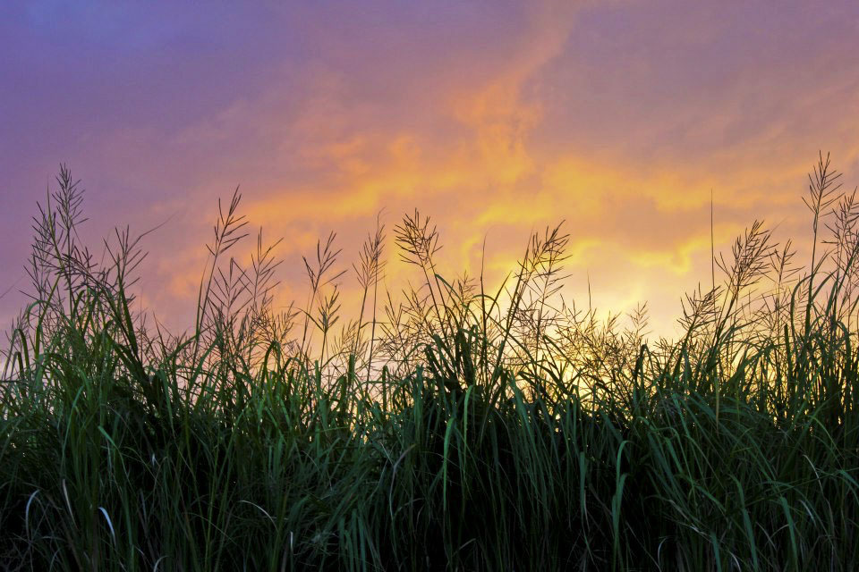 Currituck Sound, North Carolina