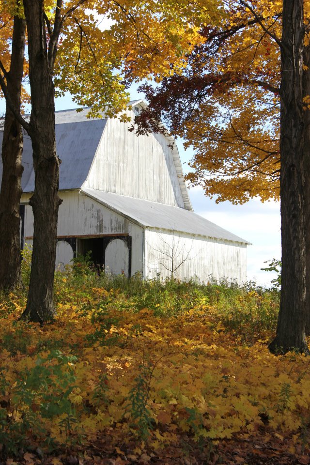 Fall Barn