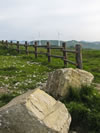 Korean Windmills, Gangwon, S. Korea