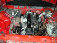 Photo Number 11