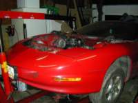 Photo Number 13