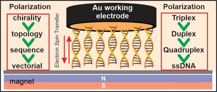 Electrochemistry CISS