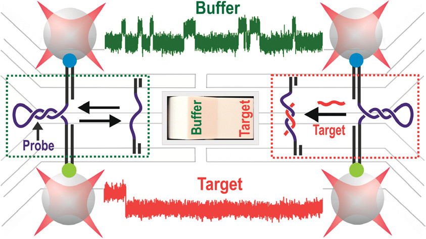 SNP Detection