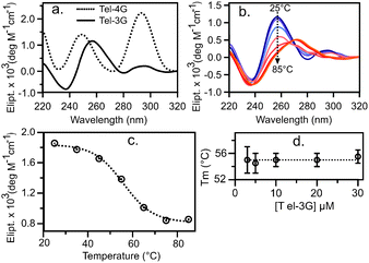 Telomeric Folding