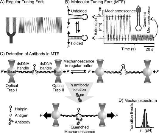 Tuning Fork