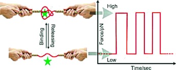 Biomimetic Sensing