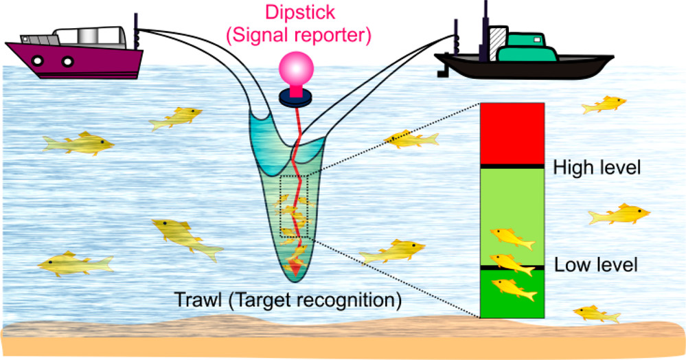 Hg(II) Sensing