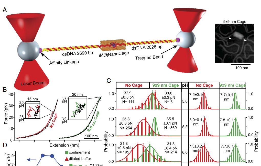 Nanoconfinement GQ