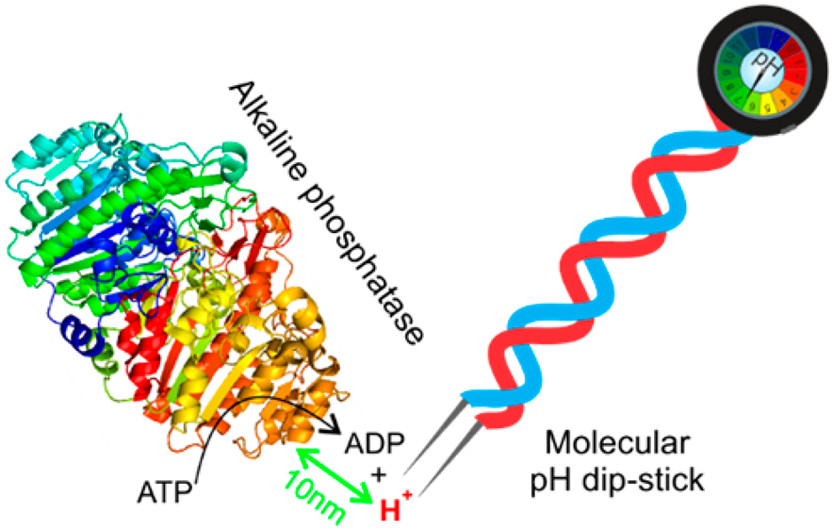 pH Sensing