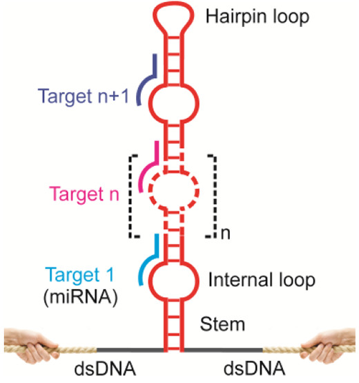 Single-Molecule Topochemical Analyses