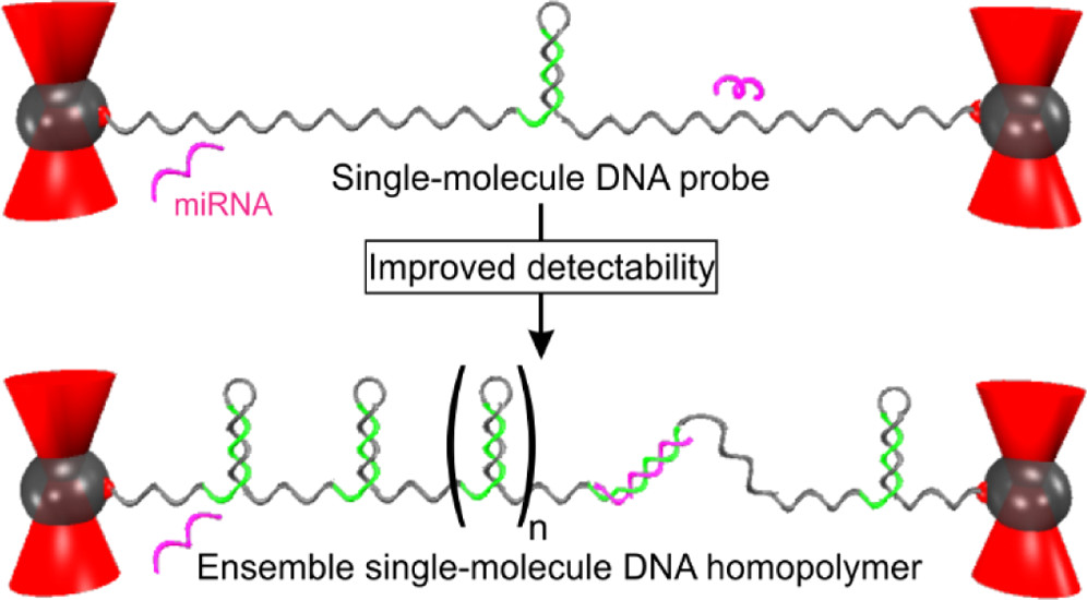 DNA copolymer sensing