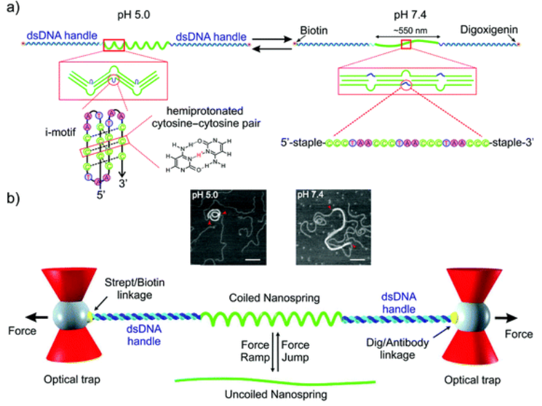 DNA Origami Nanosprings