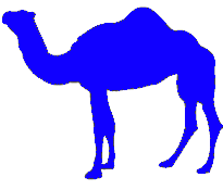 Picture of Camel