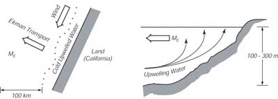 upwelling due to Ekman transport away from a coast