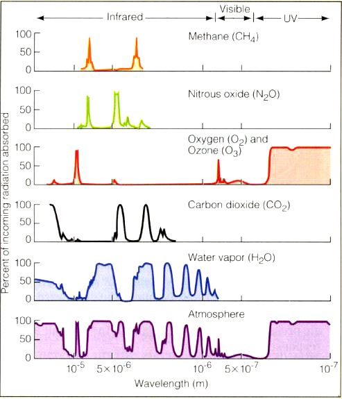 absorption of radiation by atmospheric gases