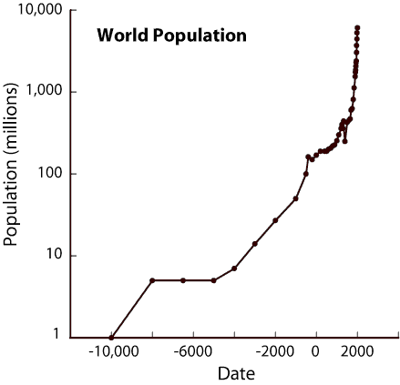 world population