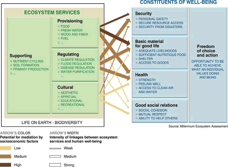 links between ecosystem services and human welfare