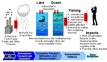 causes of mercury pollution