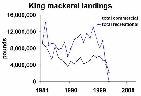 king mackerel landings