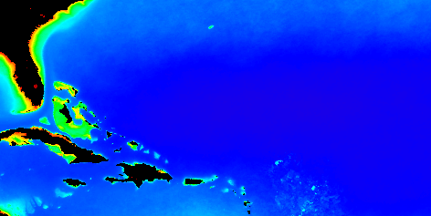 low chlorophyll concentrations east of Florida