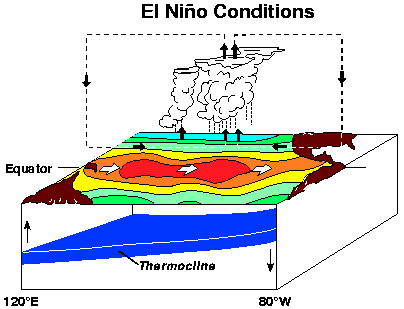 conditions in the Pacific during el nino
