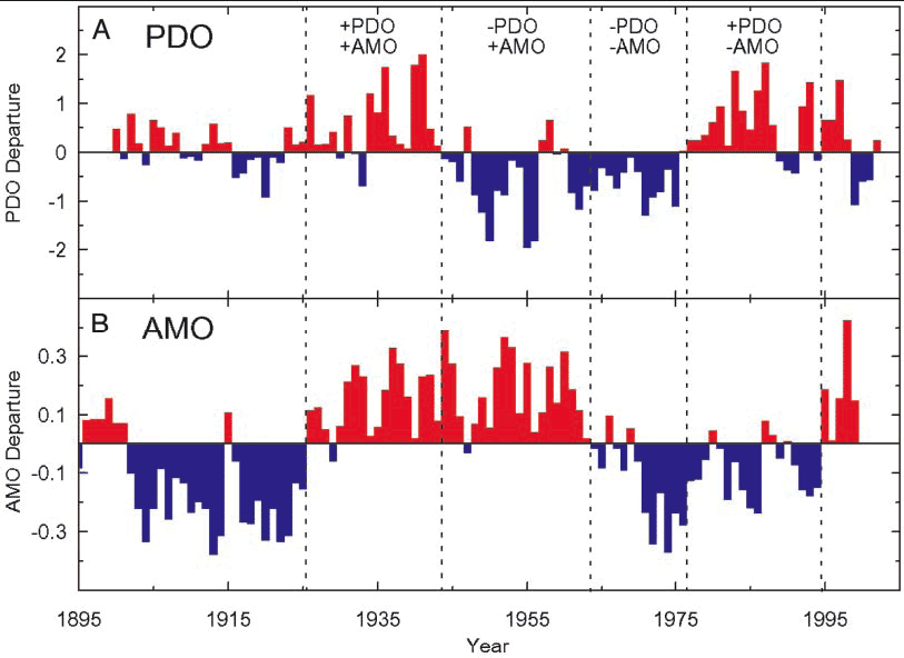 pmo and amo indices